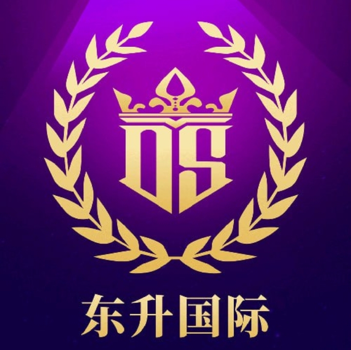 东升国际
